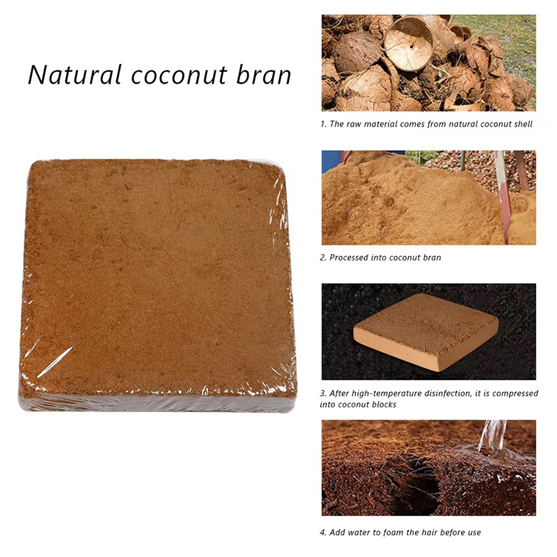 1/3/5pcs Piantina in Fibra di  - Coco Coir Block recensione e prezzo