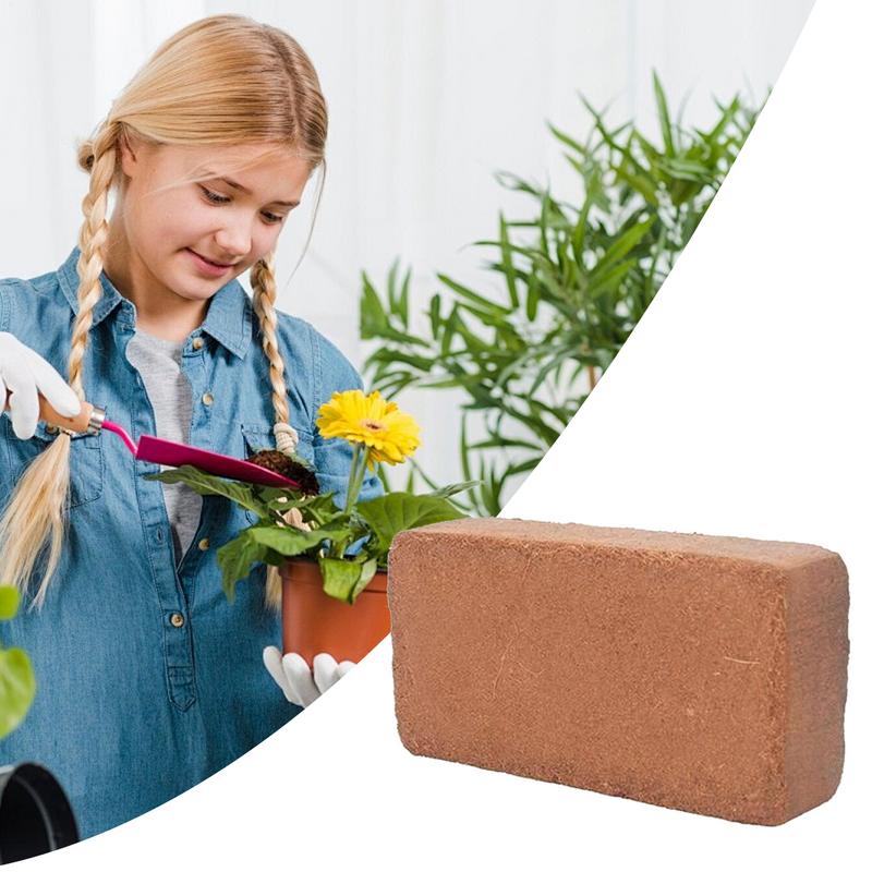 Cucina organica per piante Coc - Coco Coir Block recensione e prezzo