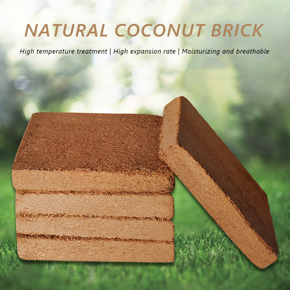 Pianta universale in fibra org - Coco Coir Block recensione e prezzo